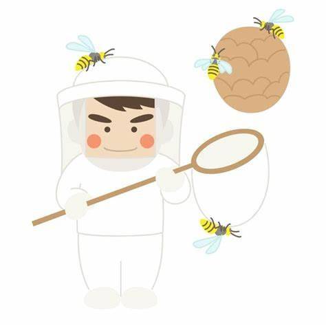 蜂の巣を駆除する際どんな準備が必要？