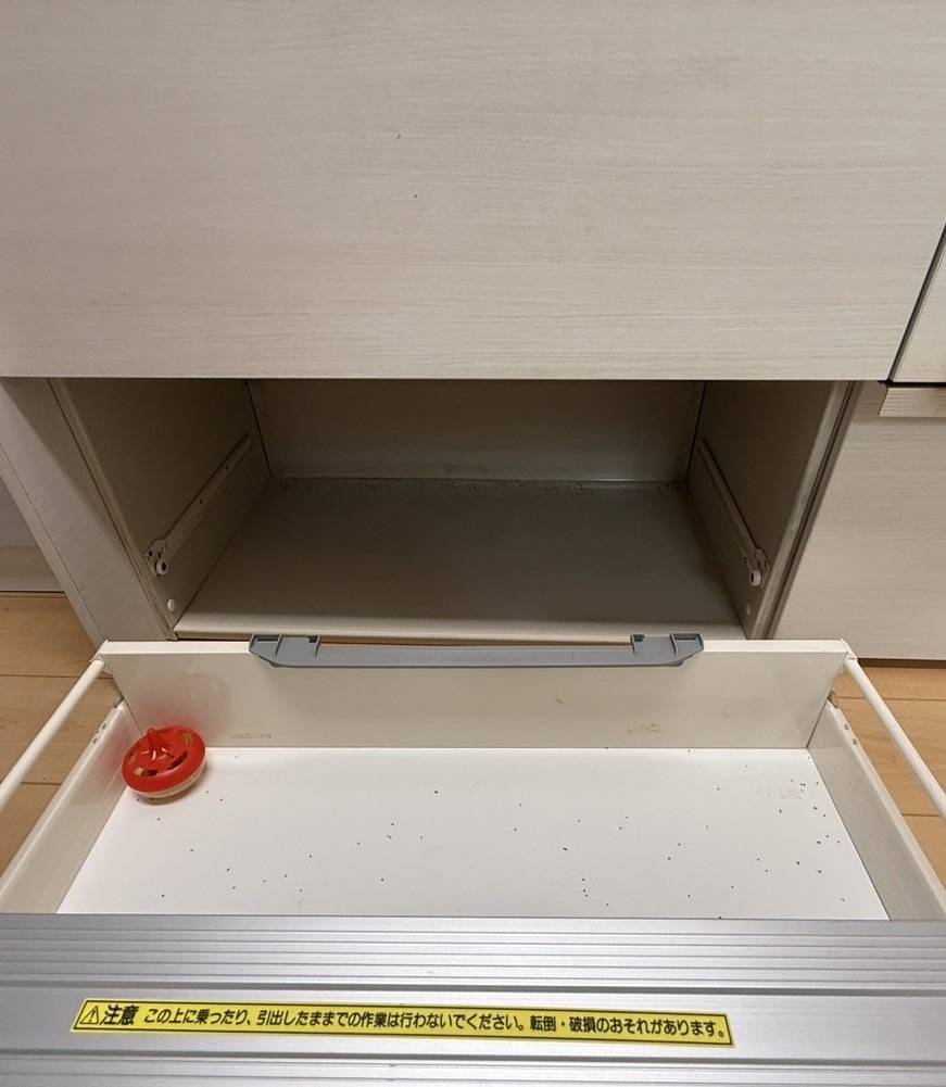 ハエ類の発生場所