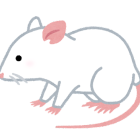 害獣のネズミにはどんな種類がある？